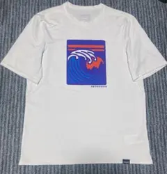 Patagonia パタゴニア キャプリーン グラフィック Tシャツ