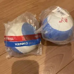 ナガセケンコー 回転チェックボール 3号 2個セット