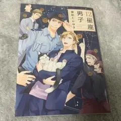 12星座男子