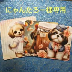 にゃんたろー様専用　ハンカチ　ワンコさん柄　3枚
