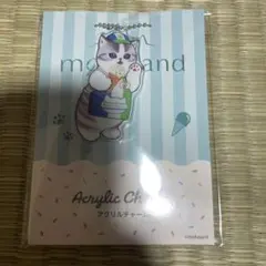 未開封★mofusand アクリルチャーム ファミリーマート