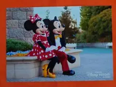 2025年最新】ディズニー スペシャルフォトの人気アイテム - メルカリ