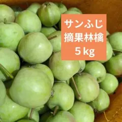 摘果りんご　加工用サンふじ林檎　約5キロ 送料込み 67のサムネイル