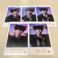 NINE LIVES ミニフォト ハルセット