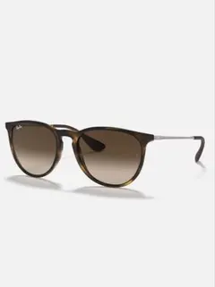 Ray-Ban ブラウン サングラス　RB4171-F ERIKA