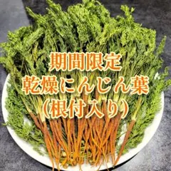 ジュークFAMILYのおやつ】乾燥いちごの茎 20g 小動物 うさぎ チンチラ