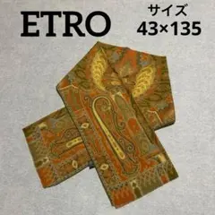 エトロ　ETRO ストール　ショール　ペイズリー柄　43×135 S559