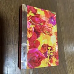 Item thumbnail for item 39d9381b-87c0-45ca-bc72-b25ba8952c10