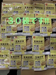 ３０袋　石井食品 玄米がゆ 220g レトルト 賞味期限２０２７年１月３０日のサムネイル