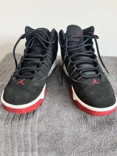 【24.5cm】NIKE JORDAN MAX AURA