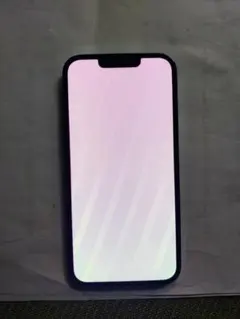 Apple iPhone 13 Pro 本体(Junk item)