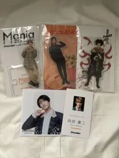 向井康二 アクスタまとめ売り