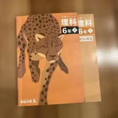 四谷大塚 予習シリーズ理解小6上