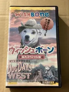 Item thumbnail for item 5ff2fbf3-1ed4-44b4-8b5e-03bb5c226cc8