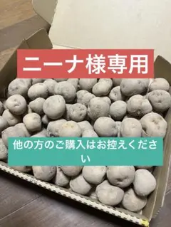 ニーナ様専用