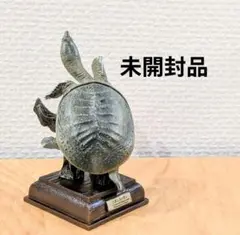 ネイチャーテクニカラー　日本のカメ　ニホンスッポン