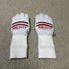 WORLD CUP スキー・スノーボードグローブ