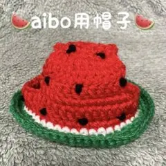 baramon様専用 ロボホン ☘️スイカハット 赤と黄色 - メルカリ
