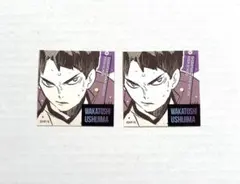 ハイキュー　スクエアステッカー　牛島若利