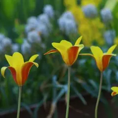 eko様 リクエスト 3点 まとめ商品