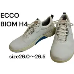 2026年最新】eccoゴルフシューズ 42の人気アイテム - メルカリ