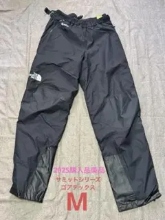 2026年最新】north faceサミットシリーズパンツの人気アイテム - メルカリ