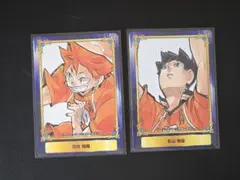 ハイキュー!! 日向翔陽 影山飛雄 ジャンプフェア アニメイト特典2018