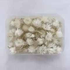 Item thumbnail for item c20ff53c-115d-491a-8397-5316704d90a0