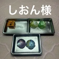 しおん様