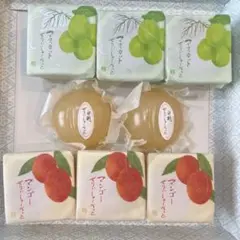 宗家　源吉兆庵　果実のぜりぃしゃーべっと詰合せ　8個入りMS-20
