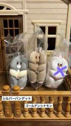 すきまハムスター2 シルバーバンデット シナモン セット売り