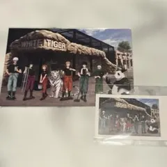 呪術廻戦　東武動物公園　ポストカード　ミニカード　五条悟　虎杖悠仁　伏黒恵