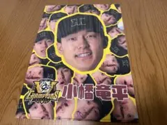 阪神タイガース セ・リーグ優勝記念シークレット顔柄クリアファイル★小幡竜平選手