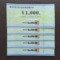 ビックカメラ★株主優待券 5000円分