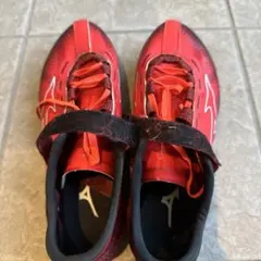 Item thumbnail for item 7270f3fa-679b-4874-9a01-116ccc354c26