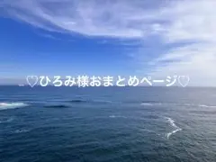 ひろみ様 リクエスト 2点 まとめ商品