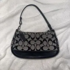 COACH コーチ アクセサリーポーチ シグネチャー キャンバス レザー