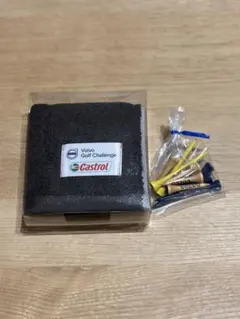 Item thumbnail for item 99128a09-4c7e-4751-ba50-5b8877dd78bc