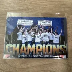 長崎ヴェルカB.LEAGUE FINALS 2025-26 優勝記念ステッカー