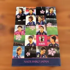 Item thumbnail for item cc5fa1b0-abfb-4b0b-a028-f410994d5e06