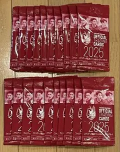 2025 ファジアーノ岡山 トレーディングカード 20パック 新品未開封