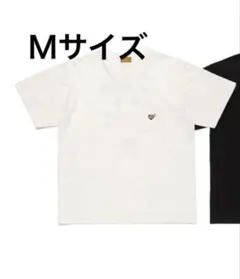 Item thumbnail for item 6b6a0e3a-a862-470b-ad06-7377b7561d50