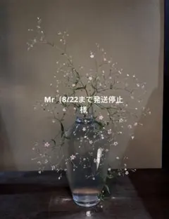 Mr（8/22まで発送停止様　ライトグレーXS