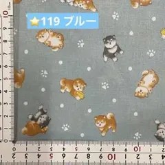 ⭐️119ラミネート生地1メートル
