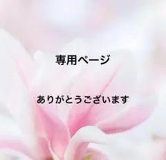 専用ページ