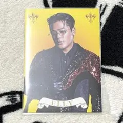 【JSB3】ELLY フォトカード【KINGDOM】