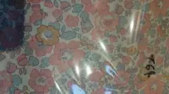 ✿アストランティア︎✿様 リクエスト 2点 まとめ商品