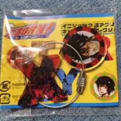 家庭教師ヒットマンREBORN イニシャル2連アクリルキーホルダーコレクション Amazon.co.jp: 家庭教師ヒットマン REBORN イニシャル 2連アクリル
