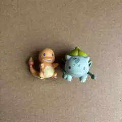 ポケモン まえならえまーち ヒトカゲ フシギダネ