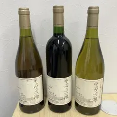 キュヴェ三澤　ワイン　赤　白　3本 日本ワイン]中央葡萄酒 キュヴェ 三澤 2015 赤 750ml – ナチュラル